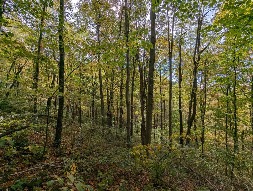 PXL_20231004_193034951