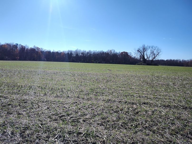 IMG_20251124_104922675