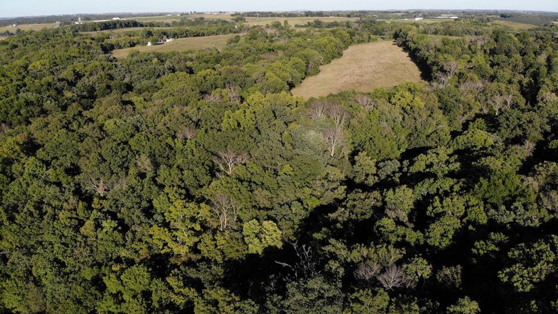 Grant 110 - 16 of 47