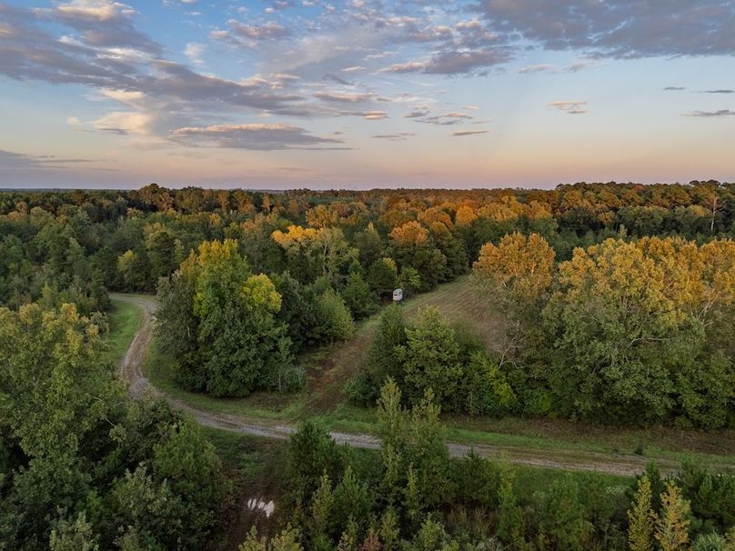 11.1 12 2031 24 Edited Harison co. 206 - Ed Robb-141