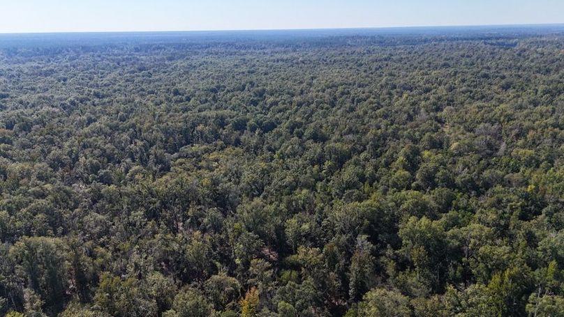 Copy of dji_fly_20251014_234218_0051_1760476899204_photo