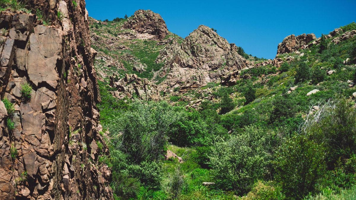 Shelf Road Canyon Retreat Mountain Wilderness In Historic Teller