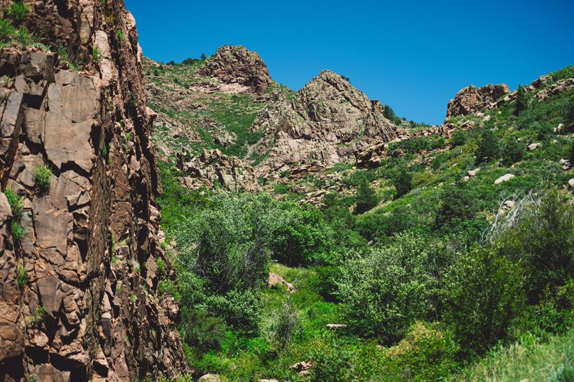 Teller Co 243.32 Kief - 01 Road Access View