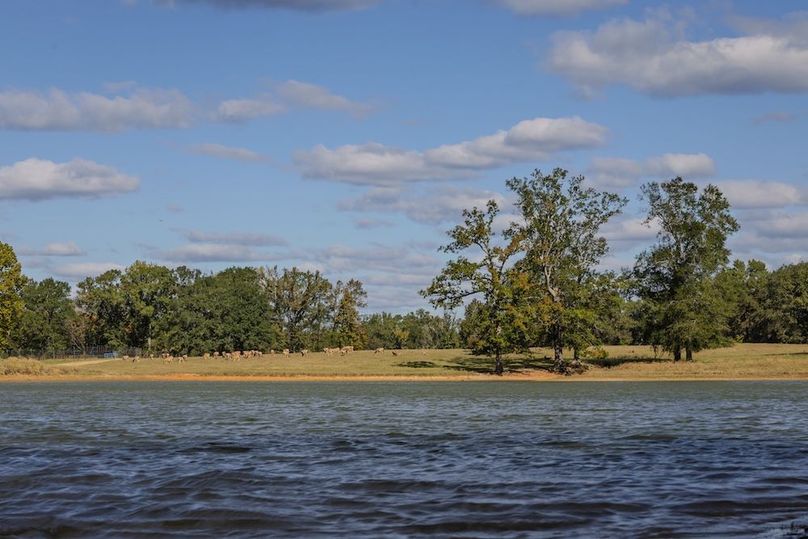 12 harrison 417ac pics-090