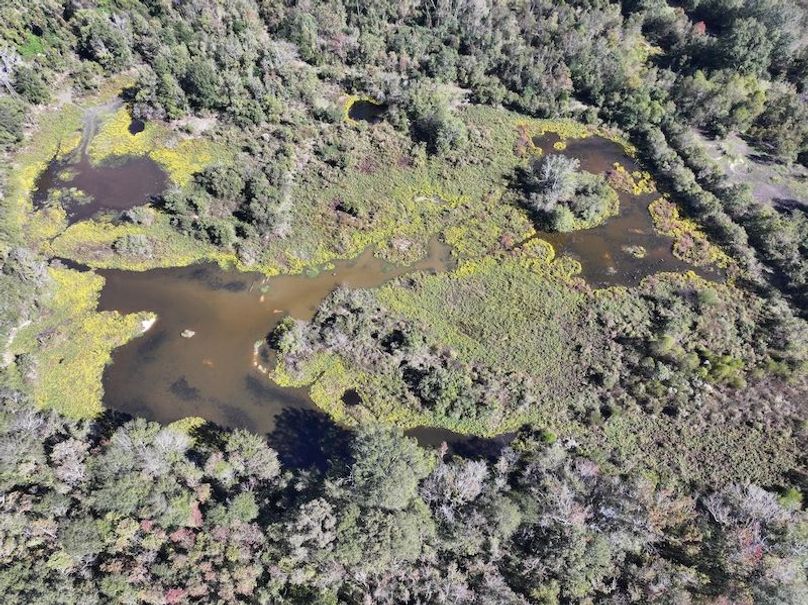 dji_fly_20251103_133802_0689_1762362217800_photo