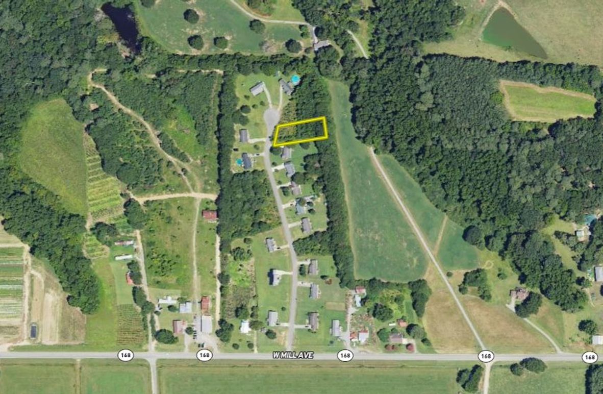 Medium .45 Marshall McDowell