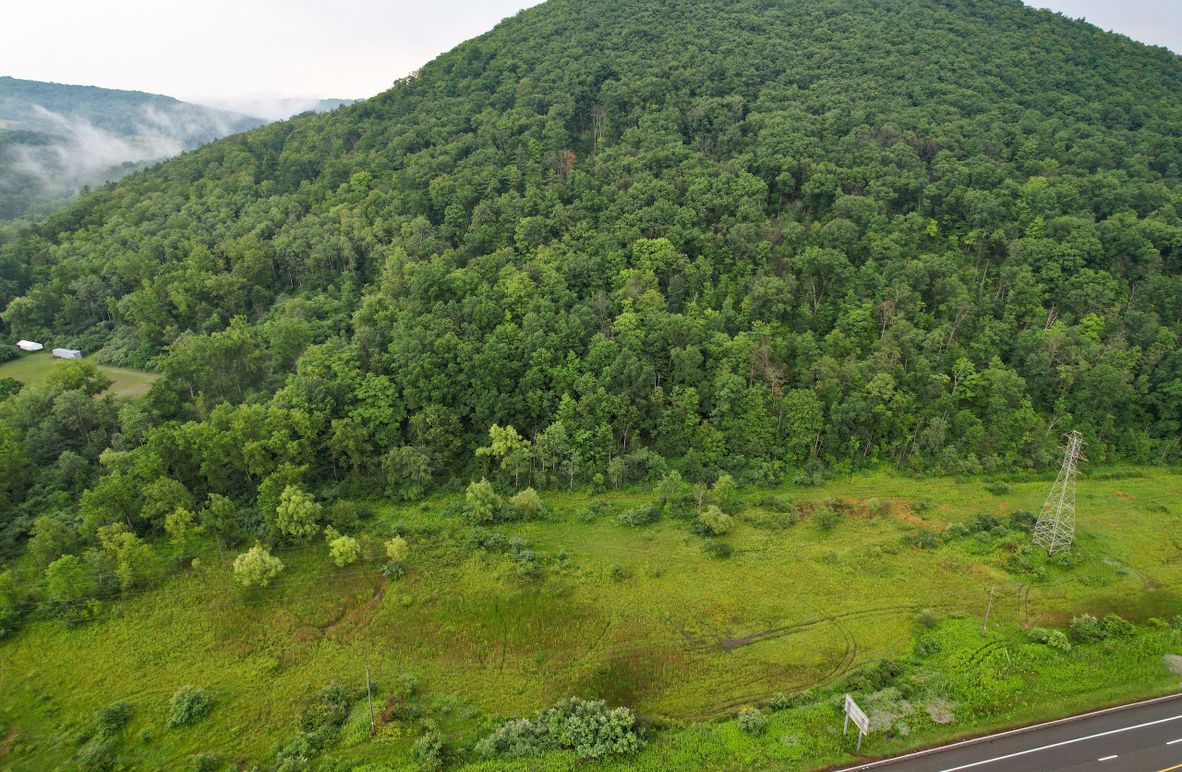 Chemung_29.5_Frantellizzi_Photo_4