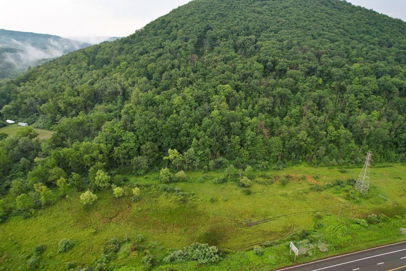 Chemung_29.5_Frantellizzi_Photo_4