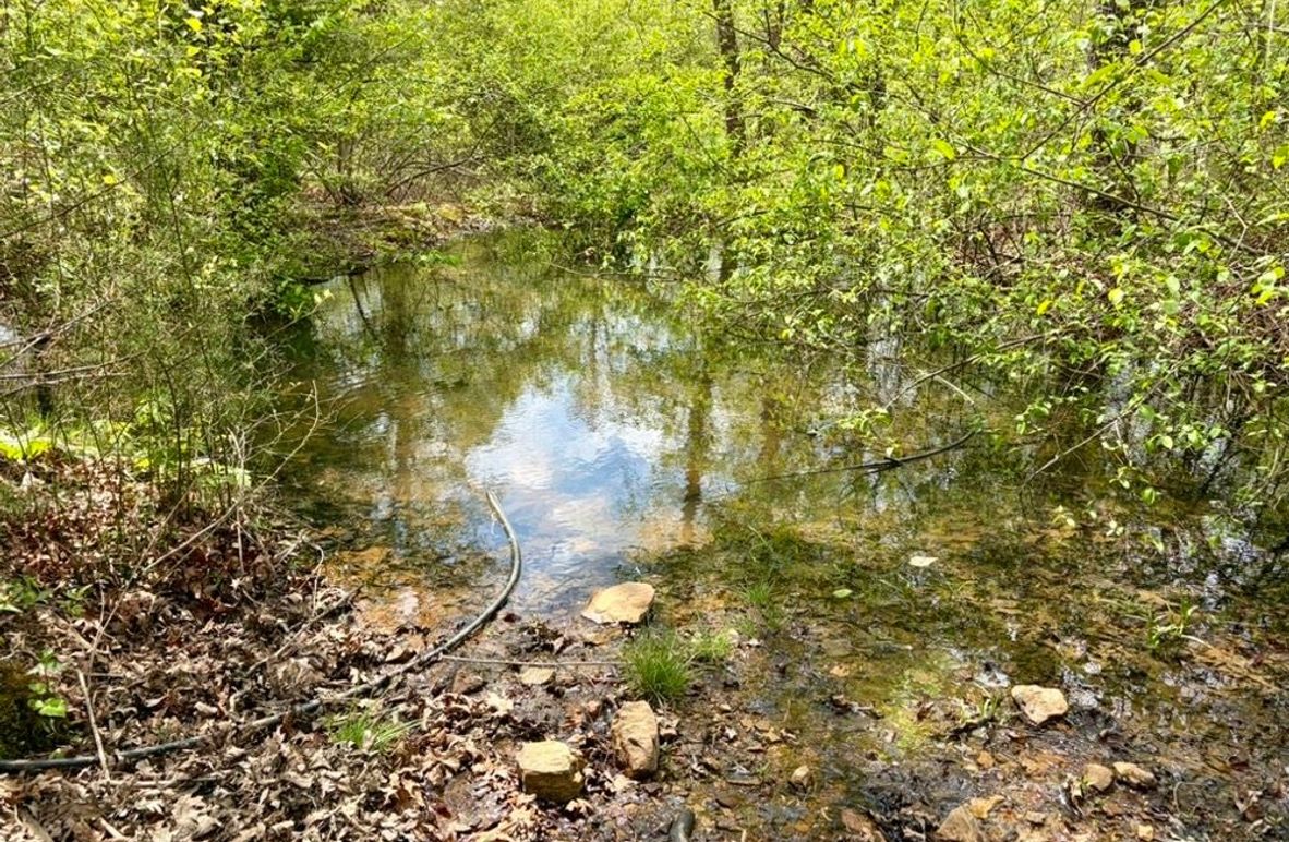 0EDED41F-557C-4970-AC6D-EF51ACBA63A0_1_105_c-2