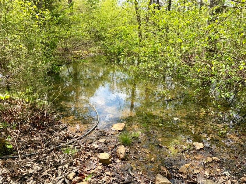 0EDED41F-557C-4970-AC6D-EF51ACBA63A0_1_105_c-2