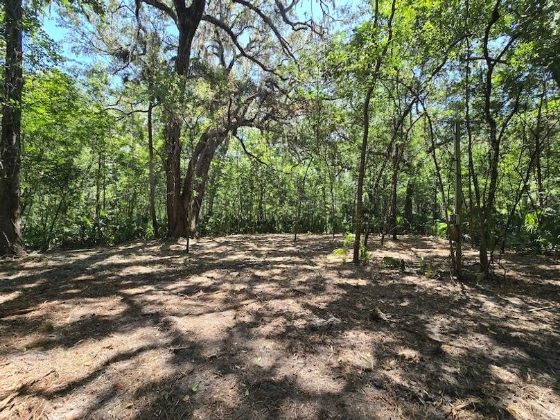 1.01ac, Citrus, Josiah Ronco09