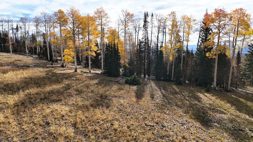 DJI_20250927094429_0236_D