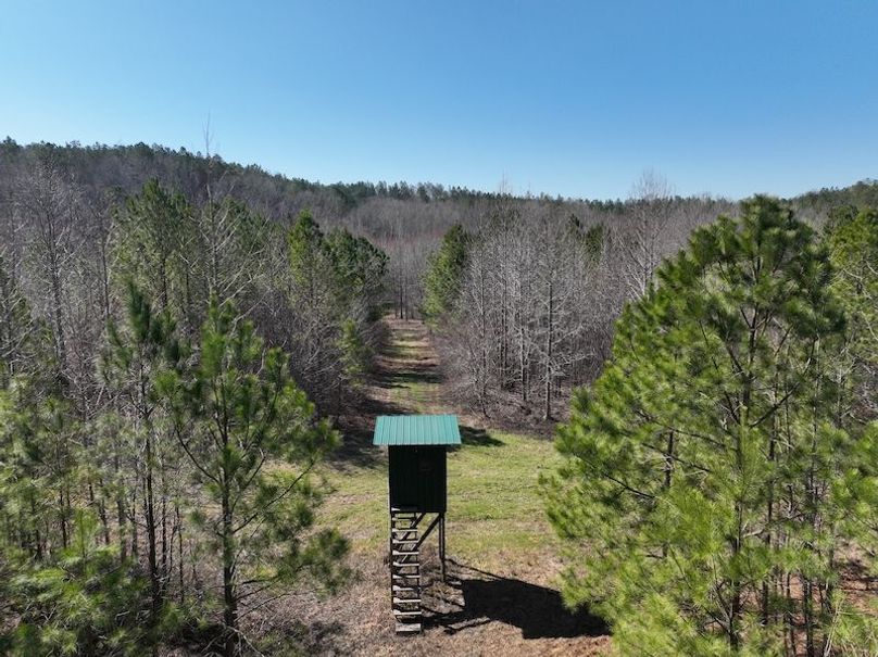 DJI_0960