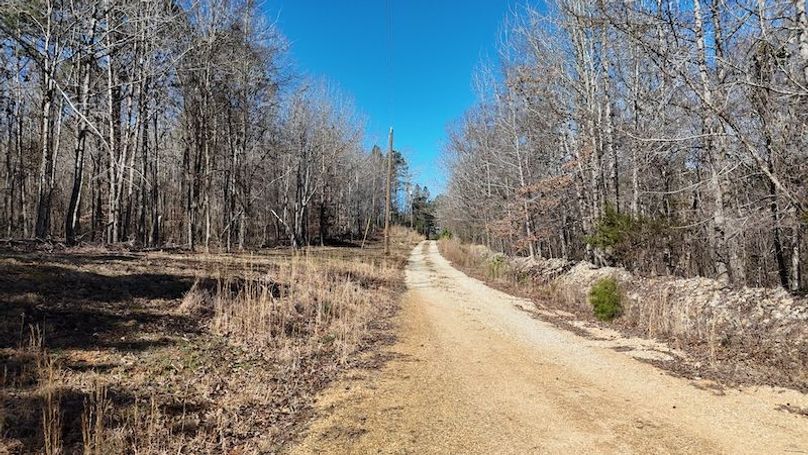 DJI_20260223234808_0392_D