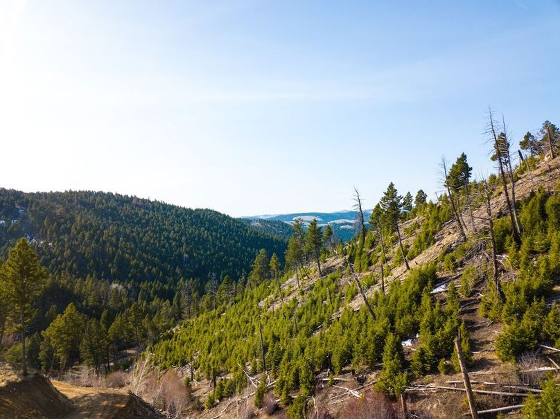 20250410-DJI_0009