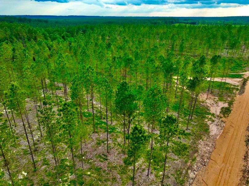 D6D070BF-14D5-430A-AC8A-6B5D3FD663D7_1_105_c