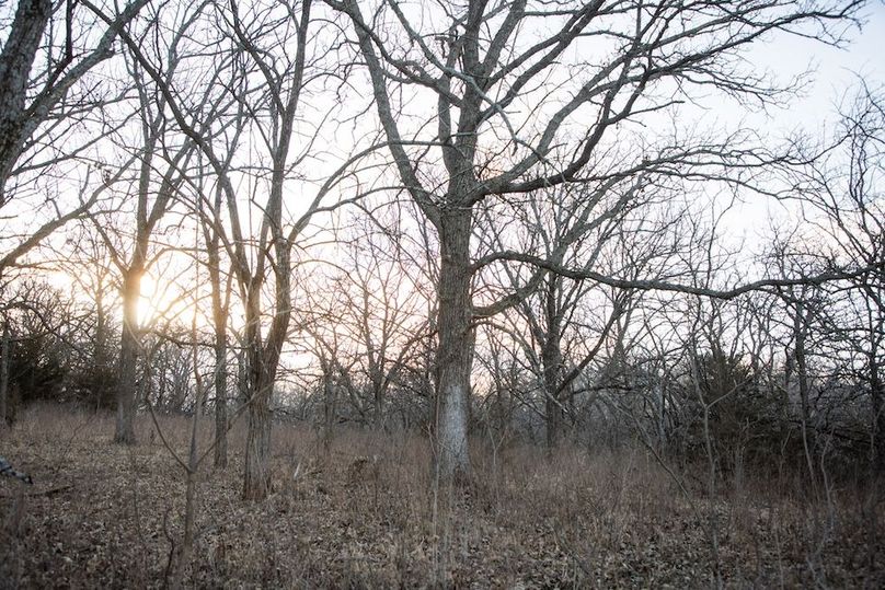 MONTGOMERY CO IA 156.78_7