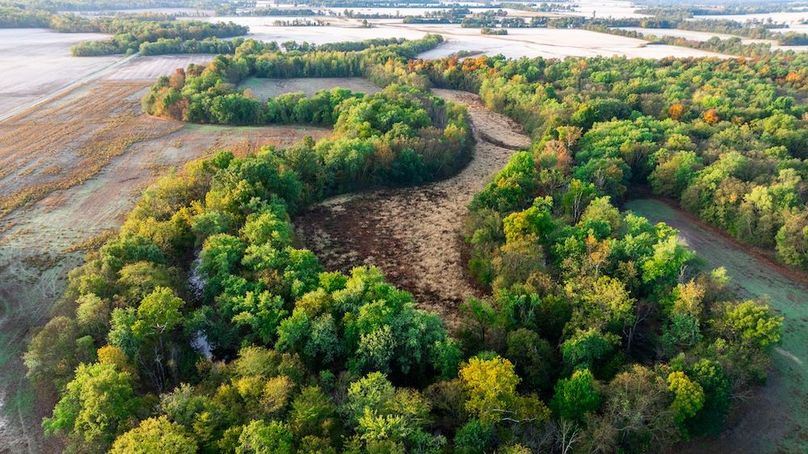 Copy of DJI_20251023190051_0008_D