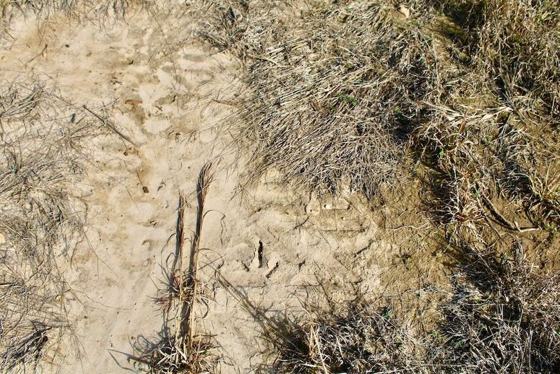 8B7FBEB1-77CE-4441-95BF-4830CDB5B067_1_201_a