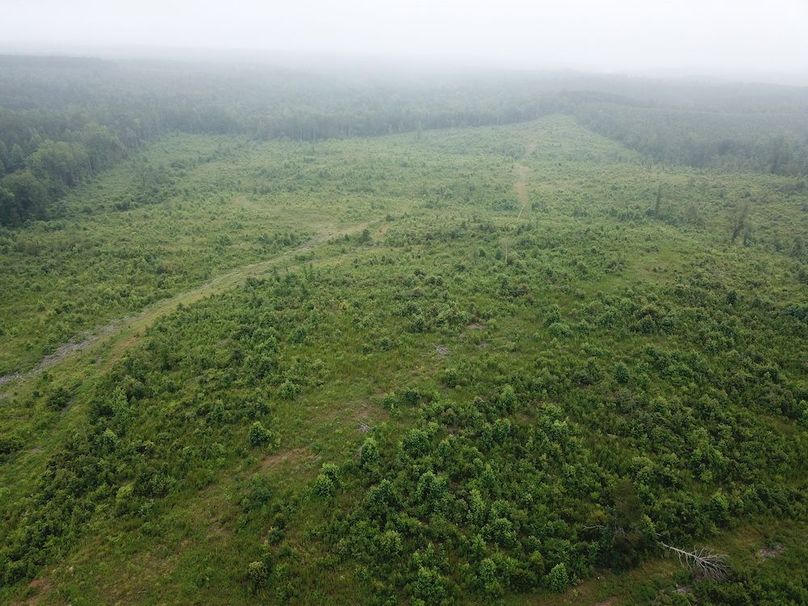 DJI_0002