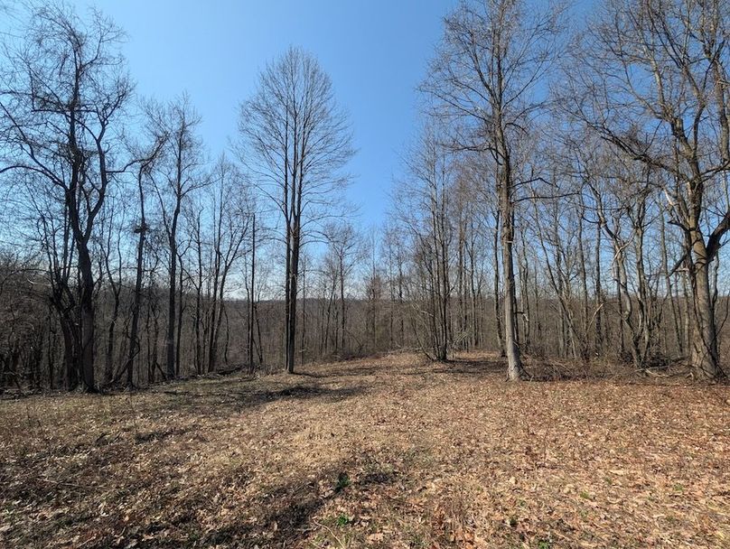 PXL_20260326_162027303.MP