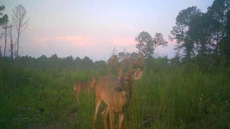 23082607030901002548