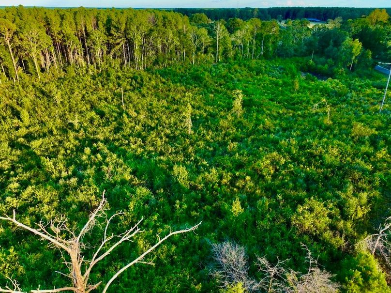 607A958B-7C00-479B-BBF7-EDE91C46419B_1_105_c-2