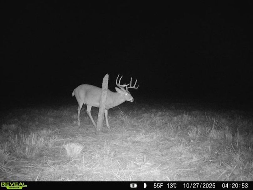 860322062100349-100-4-10272025042054-V-W1002963