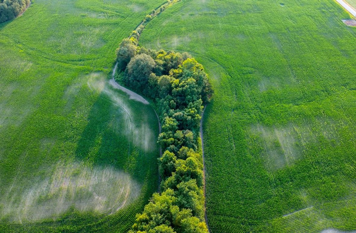 Copy of DJI_20250806055734_0053_D Large