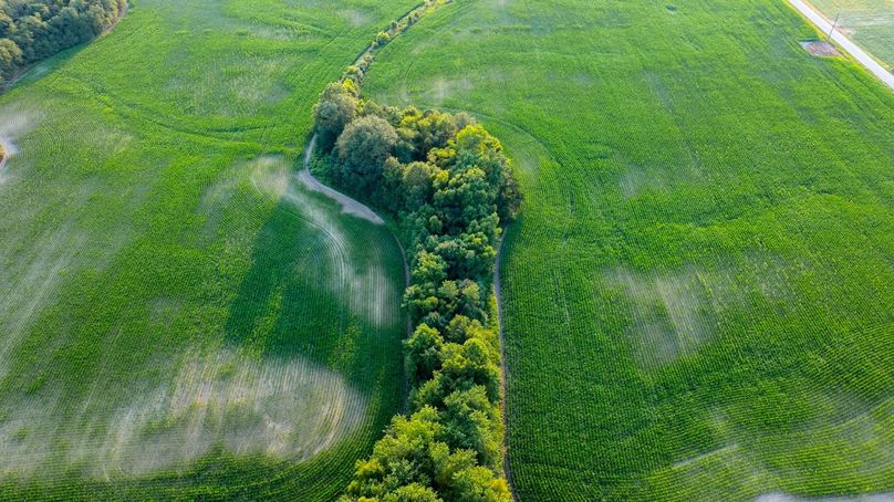 Copy of DJI_20250806055734_0053_D Large