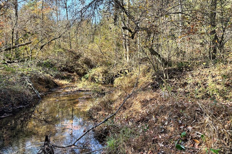 22 Creek 11