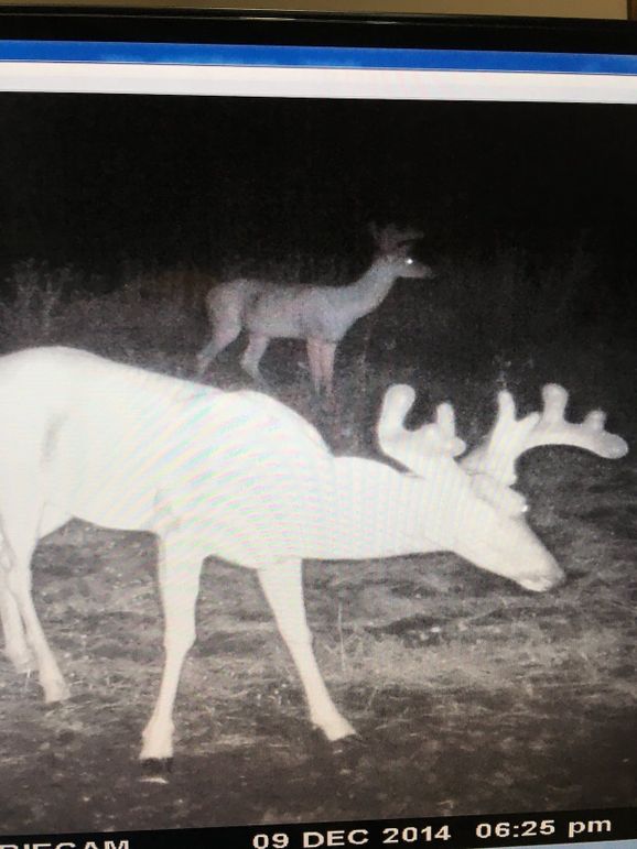 55426486636__006CF937-52AF-417B-B647-2DE0E9A21B45