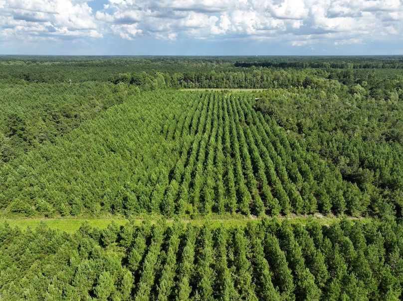 DJI_20240820164000_0015_D