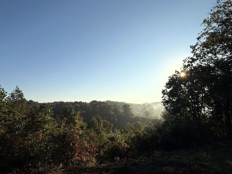 012 Morning sunlight filters through mature timber, revealing long-range valley views.