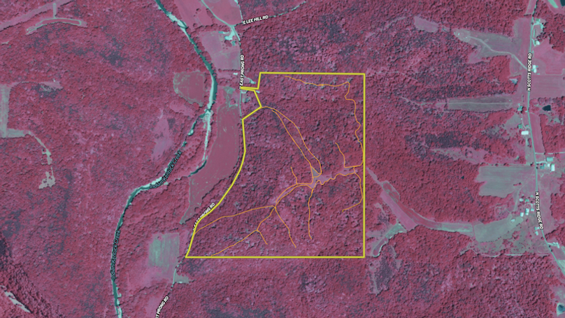 Screenshot 2025-07-15 095344