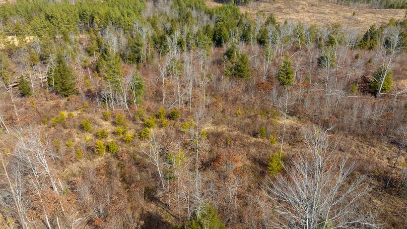 DJI_0672