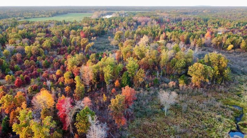 dji_fly_20241011_175054_452_1728687444504_photo_optimized 2