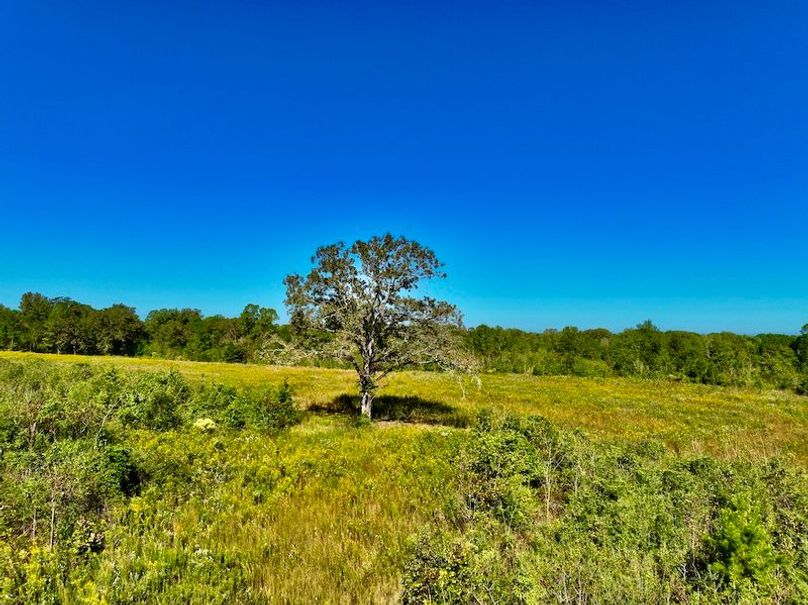 45EDFC43-A291-4FDA-A297-7BF367C614C3_1_201_a