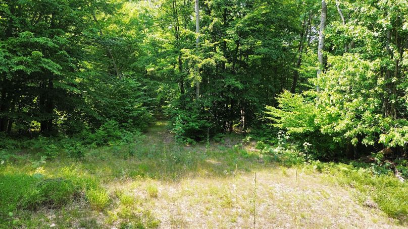 dji_fly_20230809_154822_192_1691610514852_photo_optimized