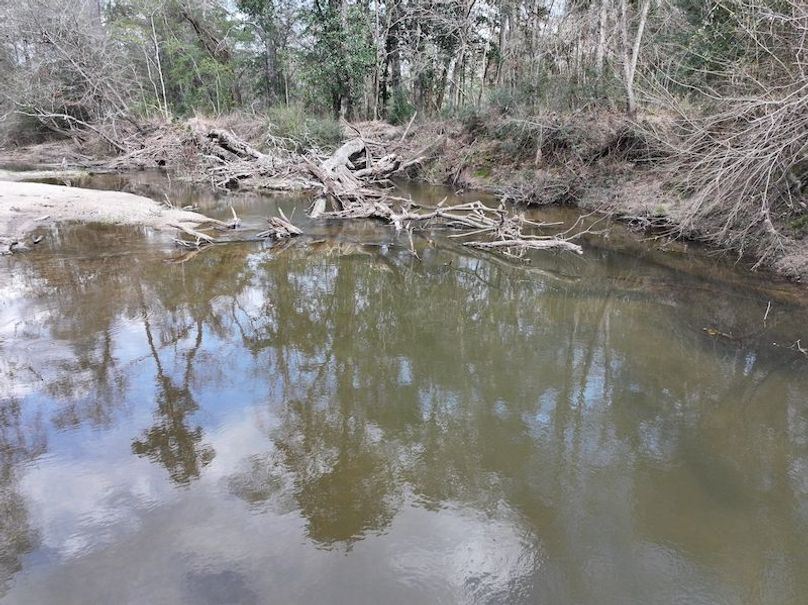 dji_fly_20260220_134826_0252_1771639125422_photo