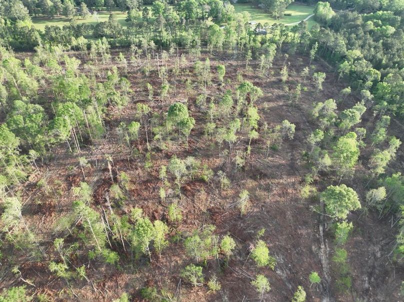 dji_fly_20260407_083612_365_1775580300153_photo