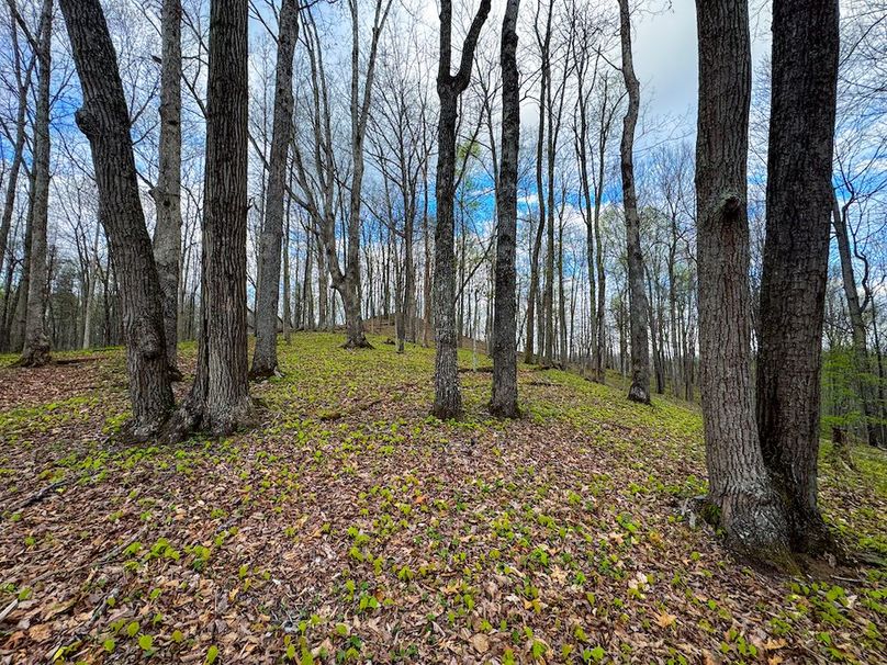 Calhoun, WV 132.84 AC Szegi 2-106