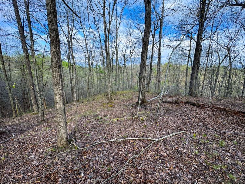 Calhoun, WV 132.84 AC Szegi 2-122