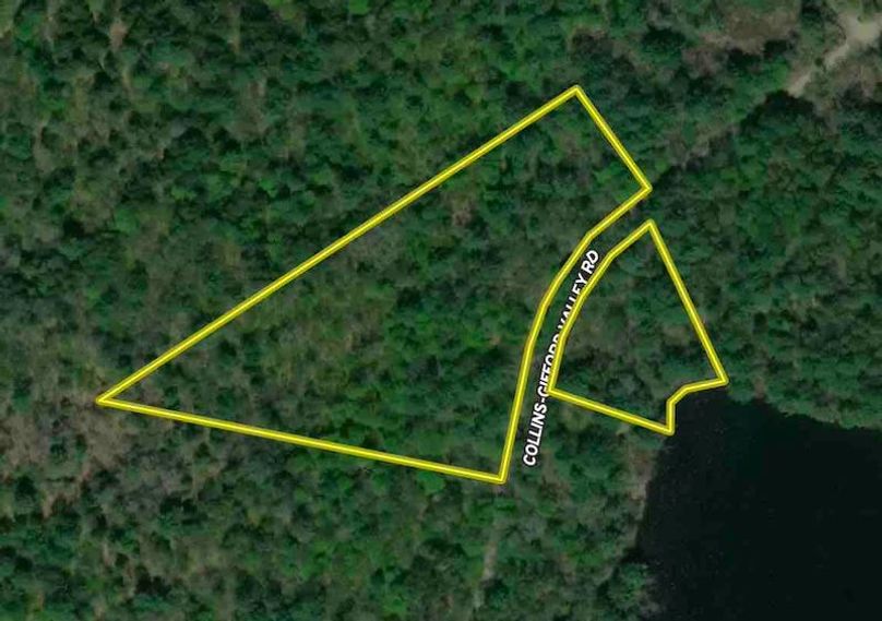 Fulton County NY 7.73 Forte Property Map