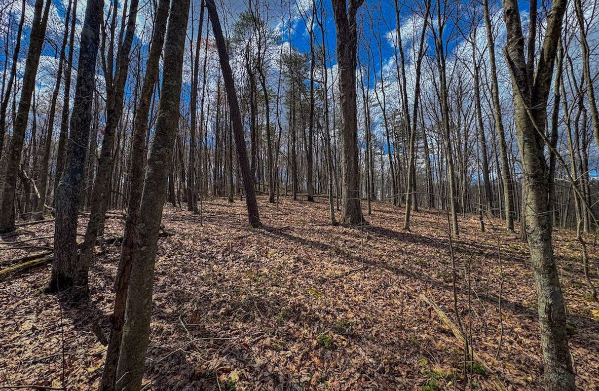 Wirt, WV 62.5 AC Full-05