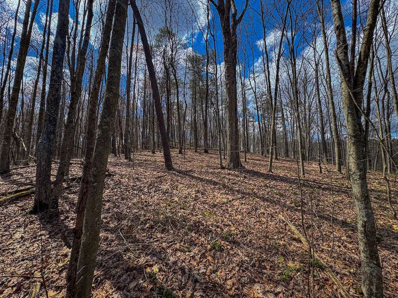 Wirt, WV 62.5 AC Full-05