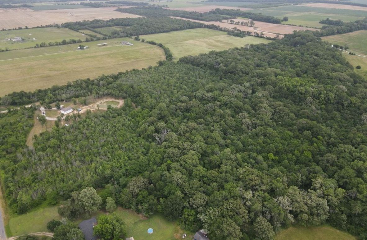 dji_fly_20250520_122256_556_1747761786088_photo