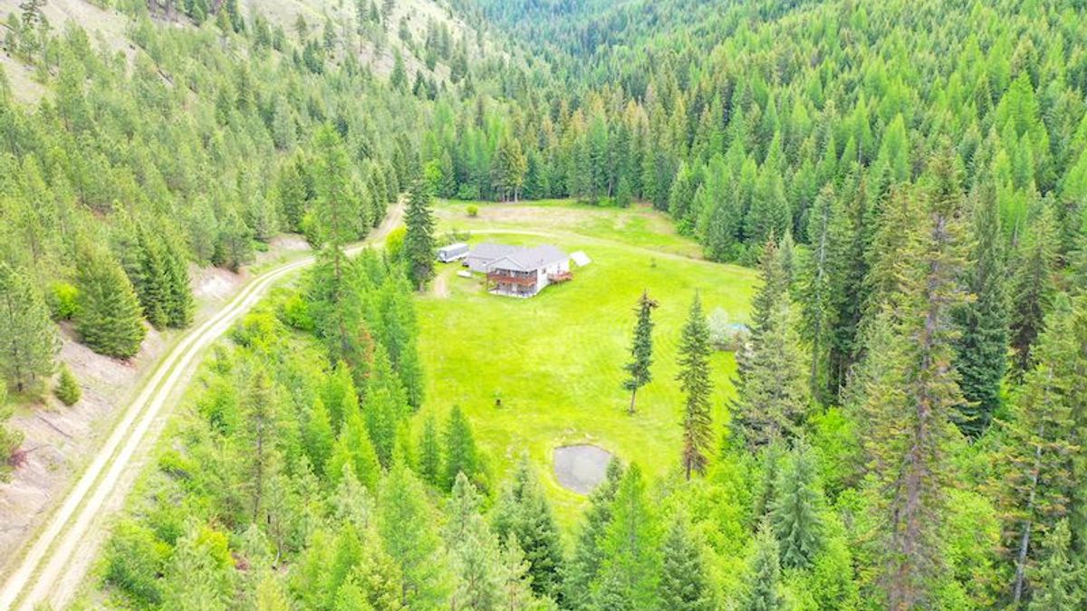 Image showcasing 16 Airbnbs With a Glass Roof in the US for Stargazing From Bed