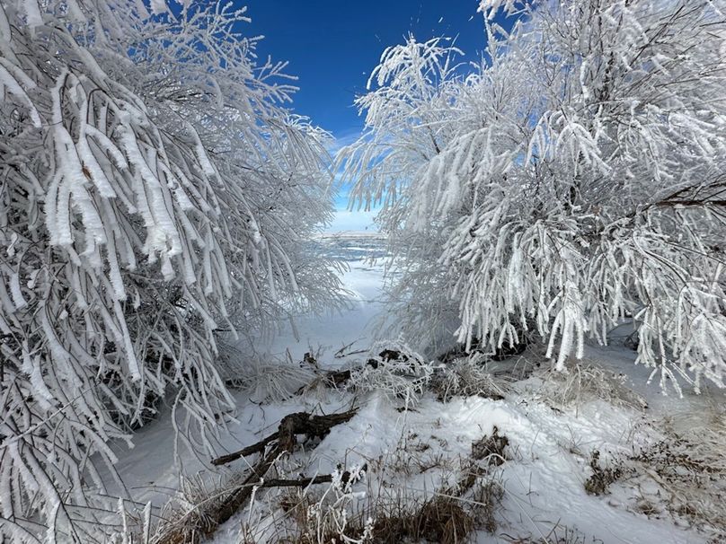 6D142E01-0BD8-4E14-AA31-822E6185C9F1_1_105_c