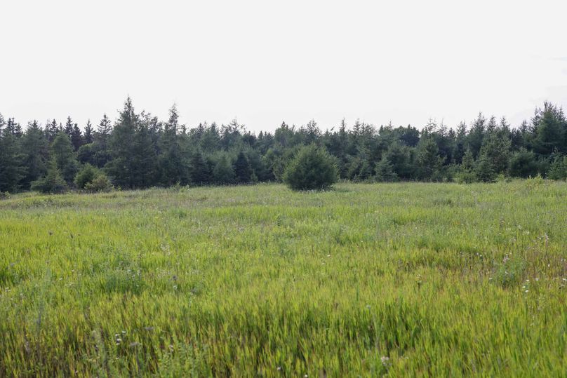 Mackinac20Fewins-6038